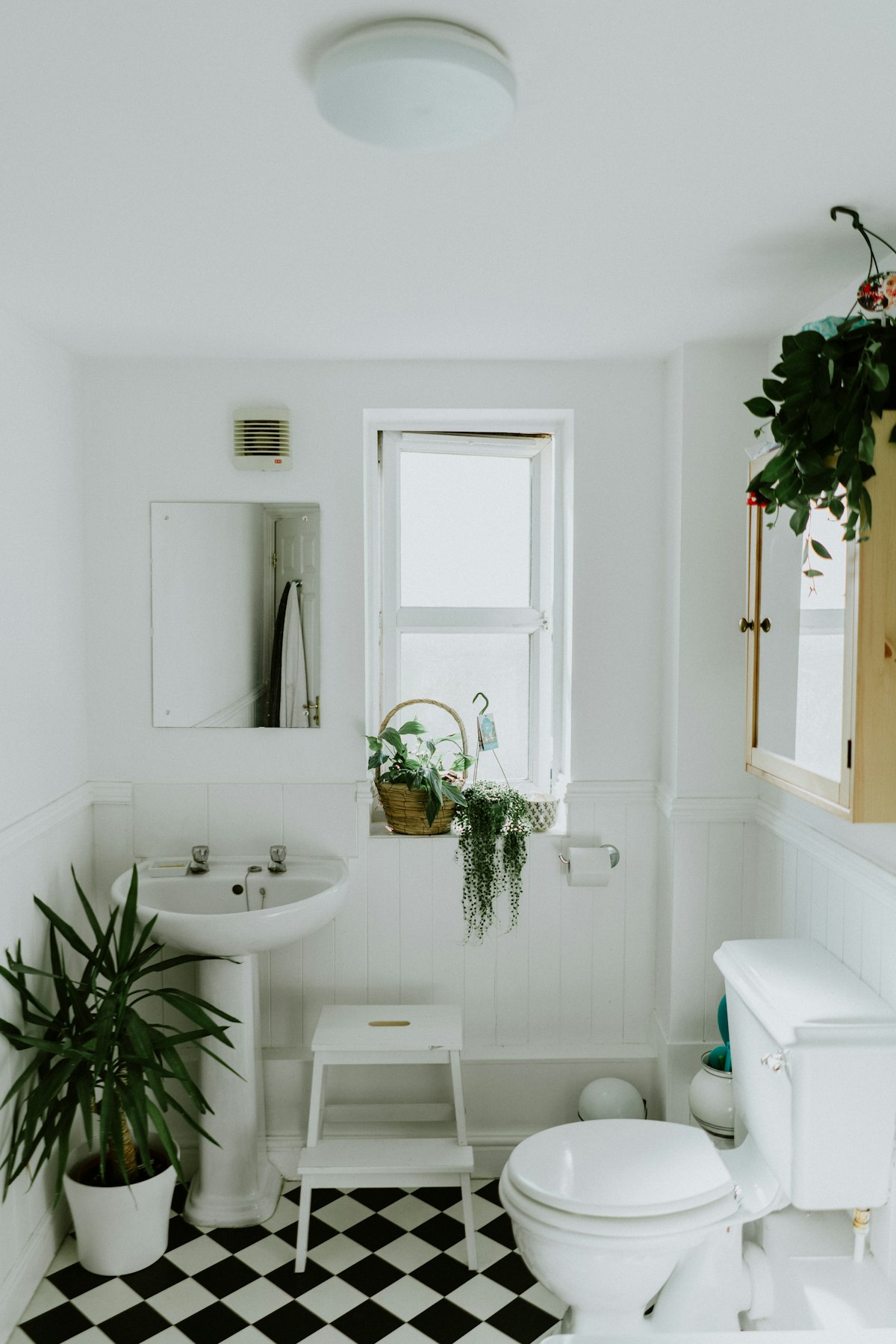 Renovated bathroom with classic checkerboard floor, white walls and potted greenery