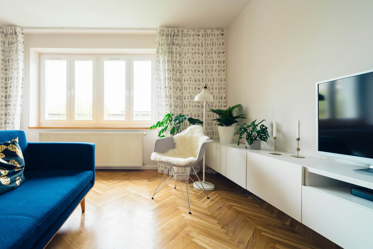 Fresh white-painted living room with navy sofa, plants and parquet floor